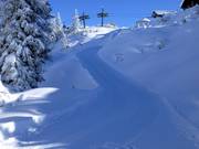 Toboggan run from the Bergrestaurant Sonnenkopf to the middle station of the Sonnenkopfbahn