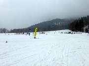 Hirschzwergland and Muli 1