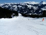 Slope No. 66 Jägerwurz