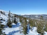 Freeride / off-piste areas in Stöten