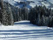 The black run no. 1 to Mühlbach
