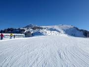 View of the slopes at Croix de la Chaux (Gryon)