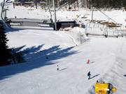 Quite steep: slope at the Kleine Büre