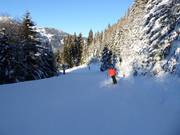 Valley run Silbertal