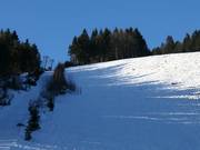 Men's downhill Riegel