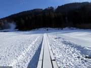 Conveyor belts Madessa in Ravascletto