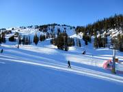 Easy slopes at the Strawberry Express to Sunshine Village
