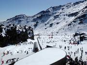 Tip for children  - Happy Valley