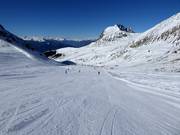 Wide slope with a view of the Ifinger