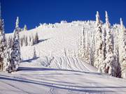 Mogul slopes from the mountain station of the Crystal Chair