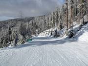 Very easy slope for beginners