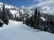 Easy slope Village Way