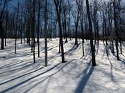 A treat for the experts are the Gladed Runs