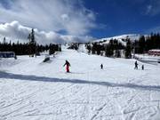 Easy and wide slope Barnbackarna