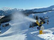 Complete snowmaking coverage of the ski area