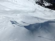 Black Bergwiesen Run