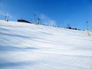 Perfect slope grooming in the Levi ski resort