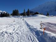 Ponylift Gerschnialp - Rope tow/baby lift with low rope tow
