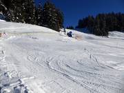 Practice slope in Silbi's Winterwelt