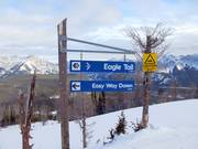 Slope signage in the Nakiska ski area