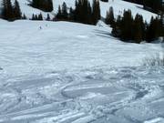 Tracks in the powder snow