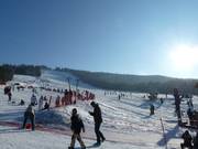 Skiing and tobogganing enjoyment on the Mehliskopf 