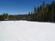 Easy slopes from Peak 10 to Peak 9