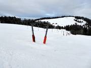 Weißtanne 1 - J-bar