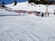 Practice area at the mountain station of the Loferer Alm Bahn II with covered conveyor belt