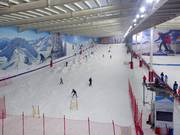 View of the main slope