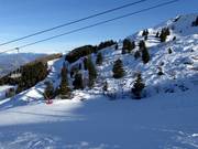 Off-piste slopes above Vason