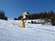 Snow cannon in the ski resort of Ladurns