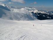 Goryczokowa downhill run