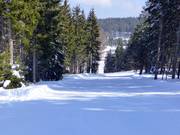 Intermediate "Abkürzung"