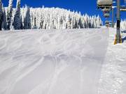 Perfectly groomed slope in Sun Peaks