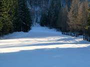 Easy slope at the Kegellift