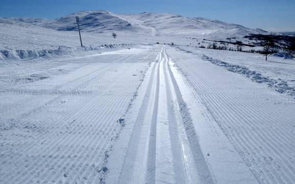 Cross-country skiing Västerbotten – Cross-country skiing Hemavan