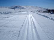 Kobåsspåret cross-country trail