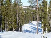 Cross-country trails in the Hellner Stadium