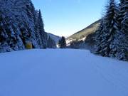 Slope No. 24 valley run to Welschnofen