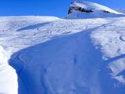 Deep powder slopes await the experts