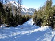 Ski path