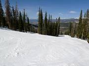 Typical forest run in Winter Park