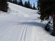 Trail in the Gaustablikk Skisenter