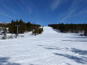 Easy slope Dalen 2