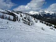 View over the Lizard Bowl