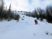 Challenging runs in the Monster Glades