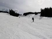 Deer Park downhill run