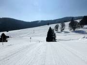 Connecting slope between Mösle and Schwinbach lift