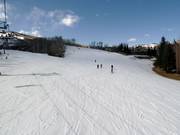 Velvet Falls downhill run